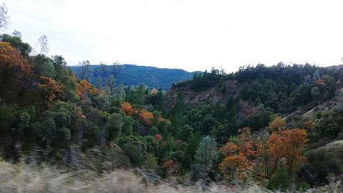 Scenic view of forest and mountains against sky