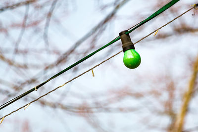 Fairy lights with light bulb outdoors