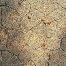 Full frame shot of cracked pattern