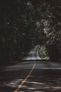 Empty road amidst trees in forest