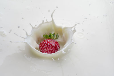 Close-up of strawberry over white background