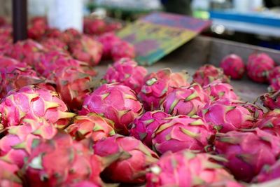 Close-up of pink roses for sale in market