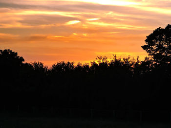 Silhouette trees at sunset