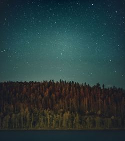 Scenic view of forest against sky at night