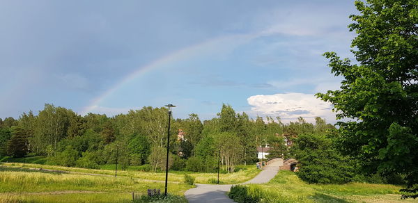 Scenic view of rainbow over trees against sky