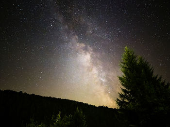 Low angle view of trees against sky at night