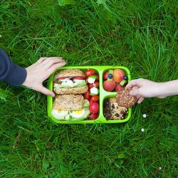 High angle view of hand holding bread on grass