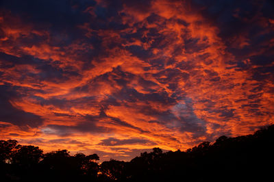 Low angle view of silhouette trees against dramatic sky