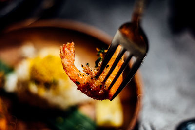 Close-up of fork with shrimp