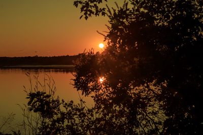 Silhouette trees by lake against sky during sunset