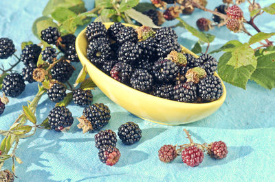 High angle view of blackberries in bowl on sunny day