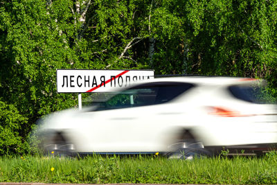 Information sign by trees in park