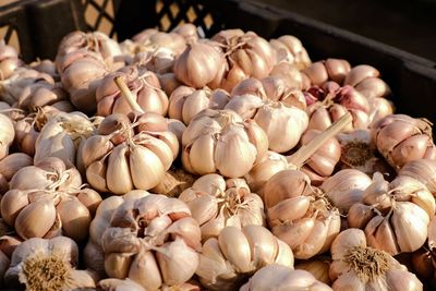 Garlic is vegetables and herbs for health.