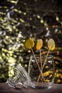 Close-up of plants in glass container on table