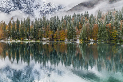 Scenic view of lake in forest during autumn