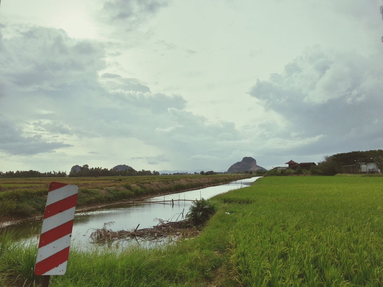 grass, sky, water, tranquil scene, tranquility, cloud - sky, scenics, beauty in nature, field, landscape, nature, grassy, cloudy, cloud, idyllic, lake, green color, non-urban scene, day, sea