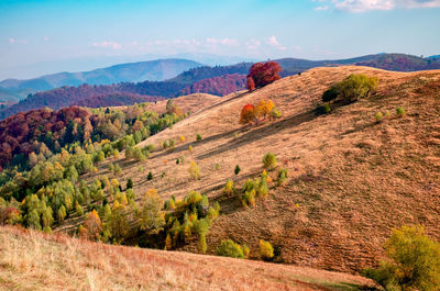 Romanian mountains in autumn season, cindrel mountains, paltinis area, sibiu county, central romania