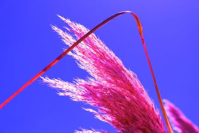 Low angle view of vapor trail against blue sky