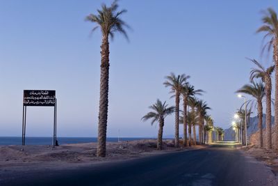 Road sign by palm trees on beach against sky