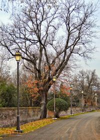 Road amidst bare trees against sky