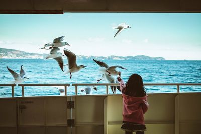Rear view of girl feeding seagulls flying over sea