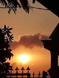 Silhouette people and plants against sky during sunset