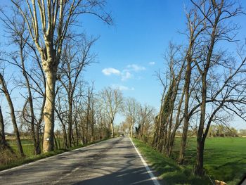 Empty road along bare trees against sky