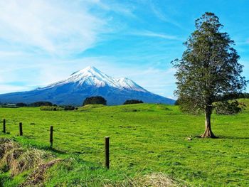 Scenic view of landscape against cloudy sky