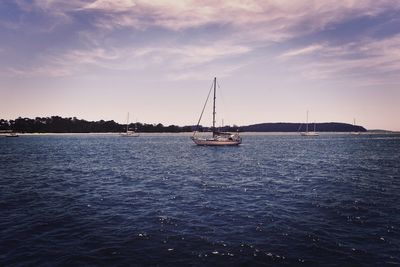 Sailboat sailing on sea against sky