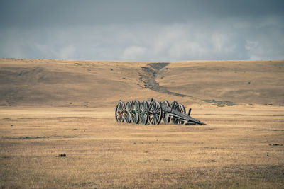 Horse cart on field against sky