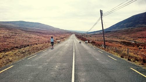 People walking on road