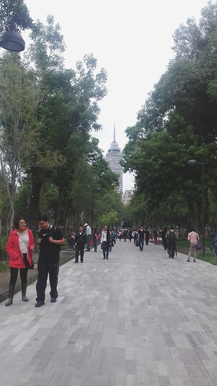 large group of people, tree, person, men, lifestyles, walking, leisure activity, mixed age range, street, the way forward, city life, footpath, city, day, group of people, park - man made space, outdoors, clear sky, medium group of people