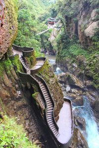 Scenic view of waterfall in forest