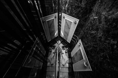 Directly above shot of bride lying on steps by glass