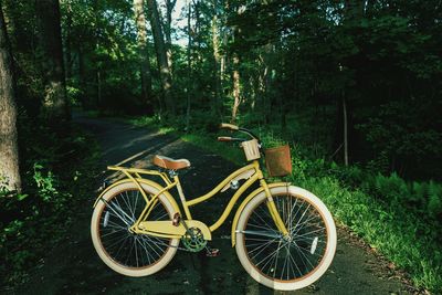Bicycle in forest