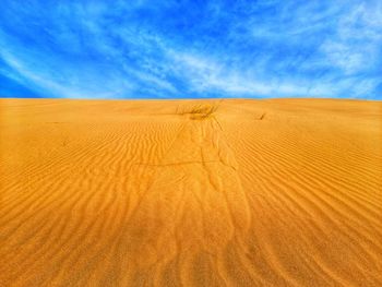 Gold sand in desert