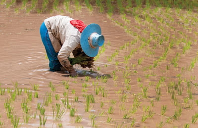 Man working in farm