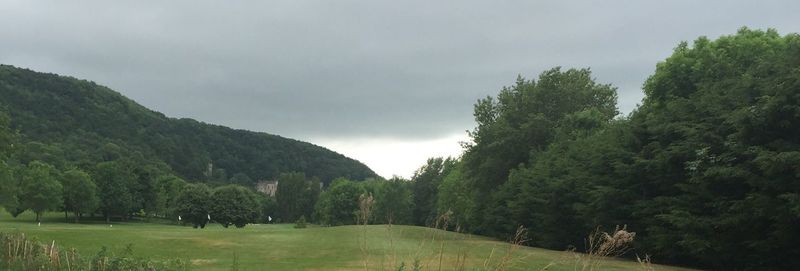 Panoramic shot of trees on landscape against sky