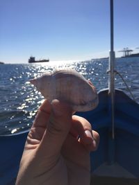 Cropped hand of person holding seashell in boat over sea against clear sky