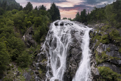 Scenic view of waterfall in forest