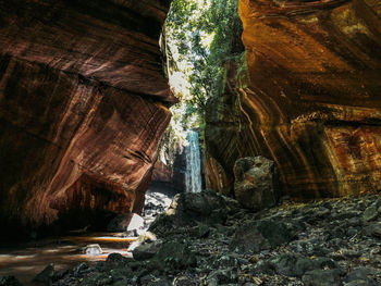 Rock formations in forest