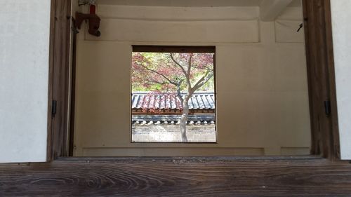 House seen through window of building