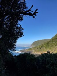 Scenic view of landscape against clear blue sky