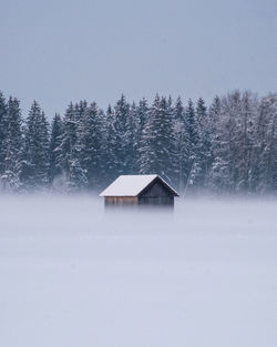 Barn in winterly fog with a forest in the background