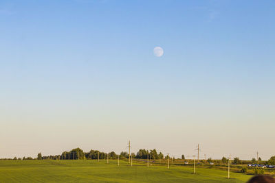 Scenic view of field against clear blue sky