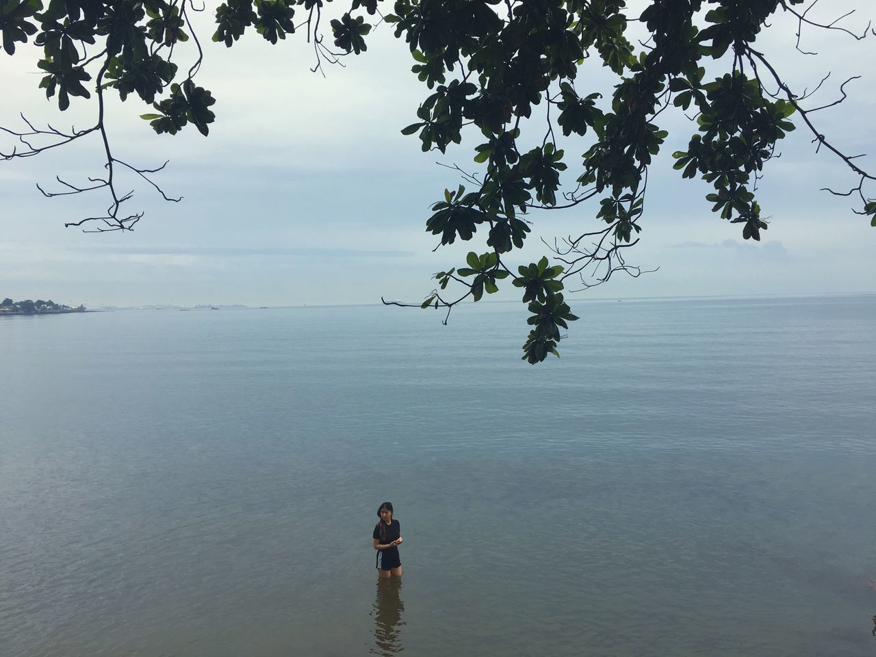 water, sea, tree, tranquil scene, tranquility, horizon over water, branch, scenics, calm, solitude, ocean, idyllic, silhouette, nature, beauty in nature, waterfront, remote, vacations, seascape, sky, blue, tourism, outdoors, non-urban scene, summer, weekend activities