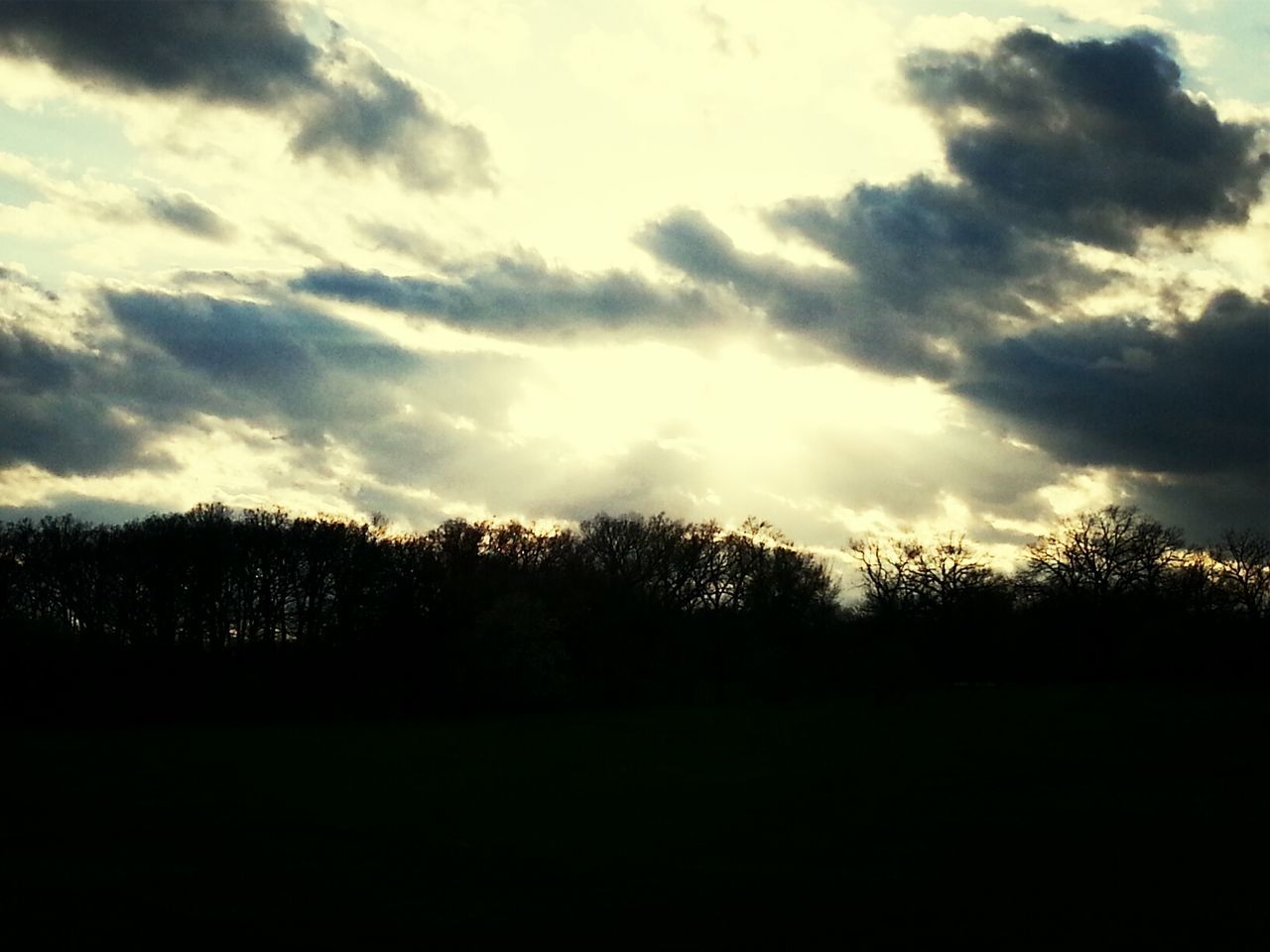 The Morton Arboretum