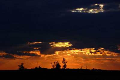 Silhouette trees against dramatic sky during sunset