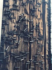 Full frame shot of old wood