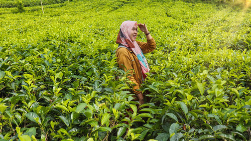 Rear view of woman standing amidst plants